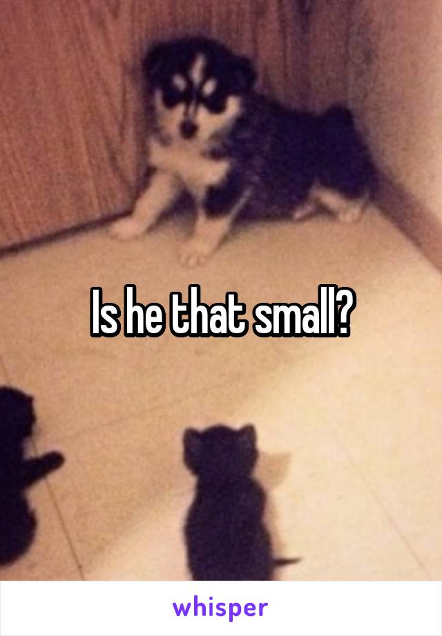 Is he that small?