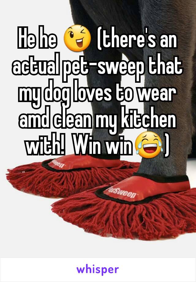 He he 😉 (there's an actual pet-sweep that my dog loves to wear amd clean my kitchen with!  Win win😂)