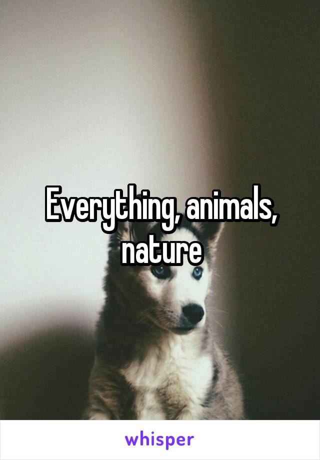 Everything, animals, nature