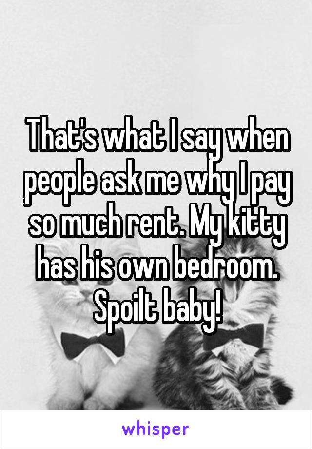 That's what I say when people ask me why I pay so much rent. My kitty has his own bedroom. Spoilt baby!