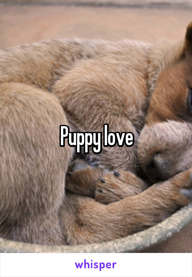 Puppy love