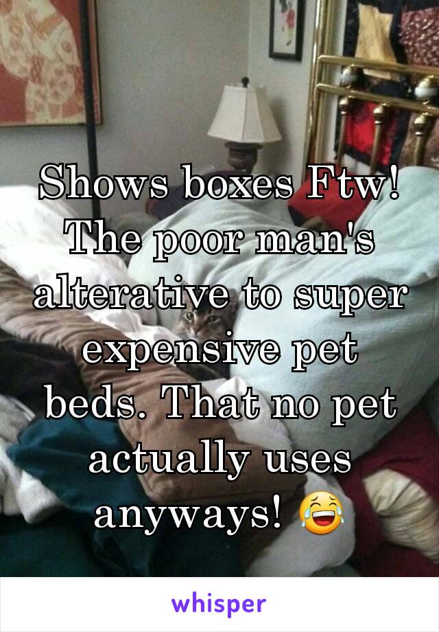 Shows boxes Ftw!  The poor man's alterative to super expensive pet beds. That no pet actually uses anyways! 😂