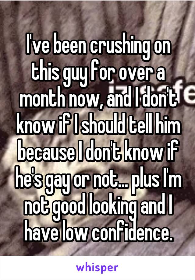I've been crushing on this guy for over a month now, and I don't know if I should tell him because I don't know if he's gay or not... plus I'm not good looking and I have low confidence.