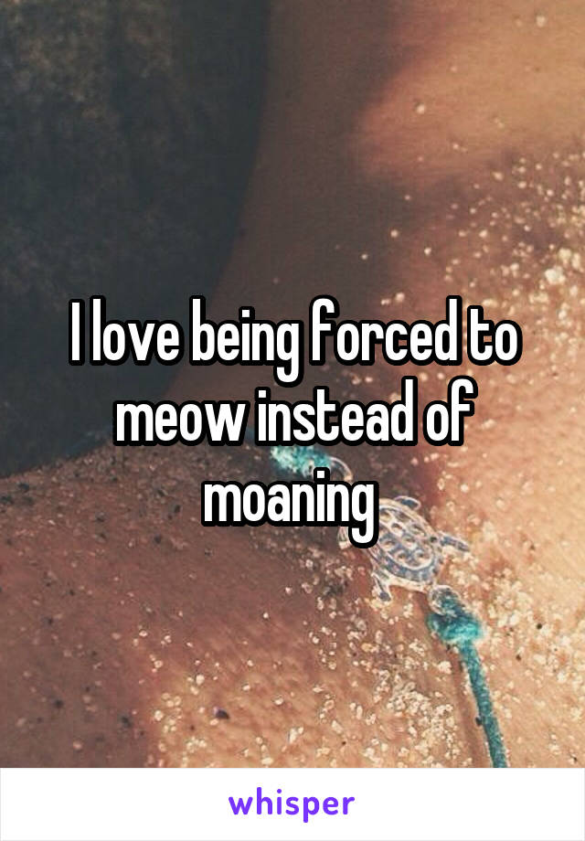 I love being forced to meow instead of moaning 