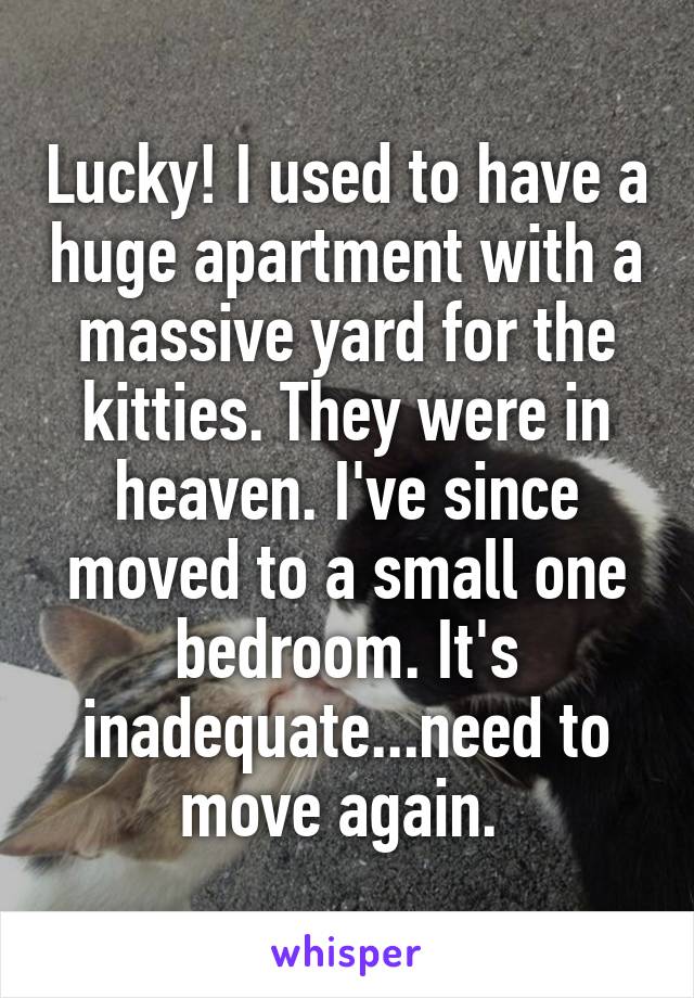 Lucky! I used to have a huge apartment with a massive yard for the kitties. They were in heaven. I've since moved to a small one bedroom. It's inadequate...need to move again. 