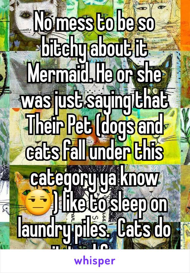 No mess to be so bitchy about it Mermaid. He or she was just saying that Their Pet (dogs and cats fall under this category ya know 😒) like to sleep on laundry piles.  Cats do it too! Geez 