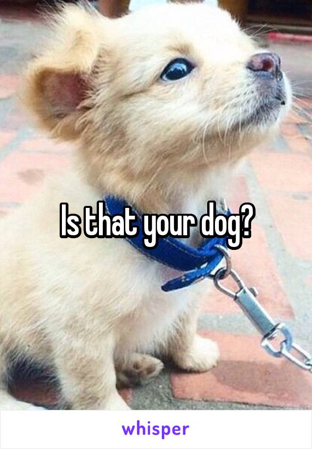 Is that your dog?