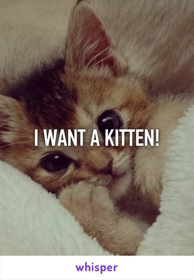 I WANT A KITTEN!