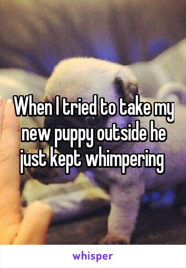 When I tried to take my new puppy outside he just kept whimpering 
