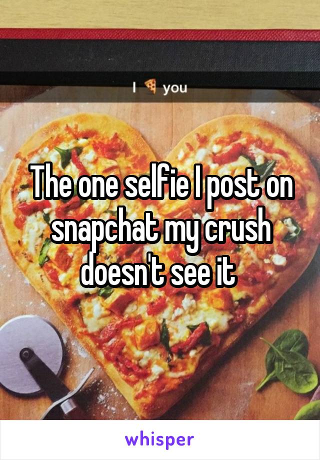 The one selfie I post on snapchat my crush doesn't see it 