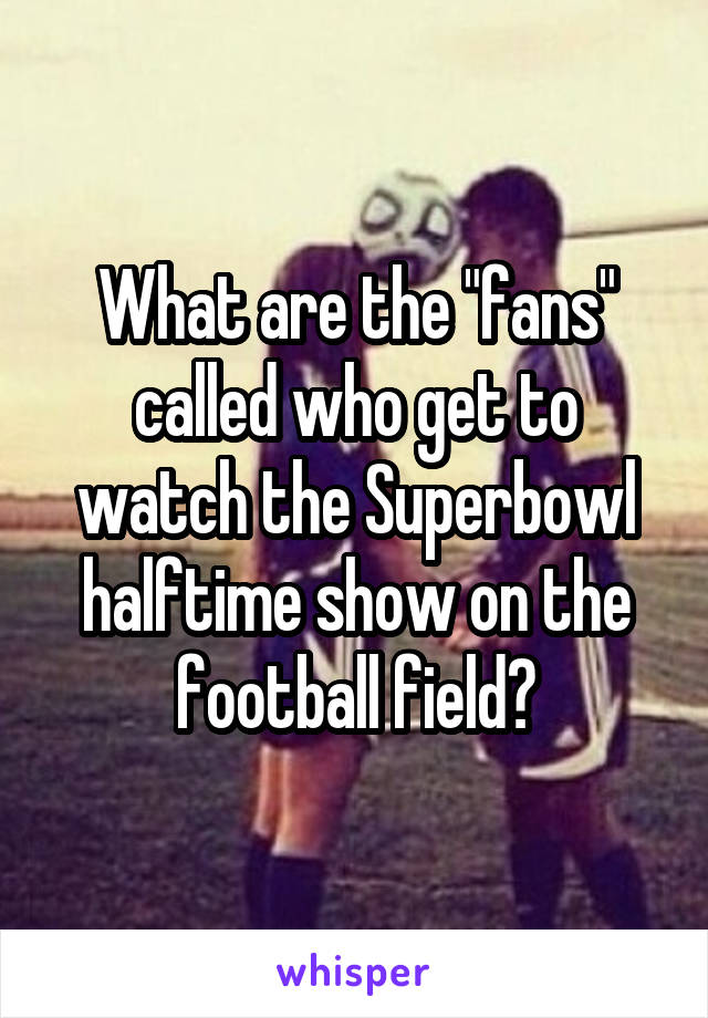 What are the "fans" called who get to watch the Superbowl halftime show on the football field?