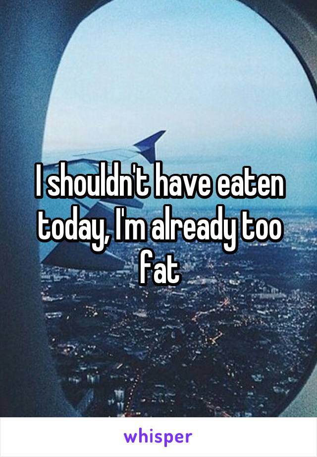 I shouldn't have eaten today, I'm already too fat