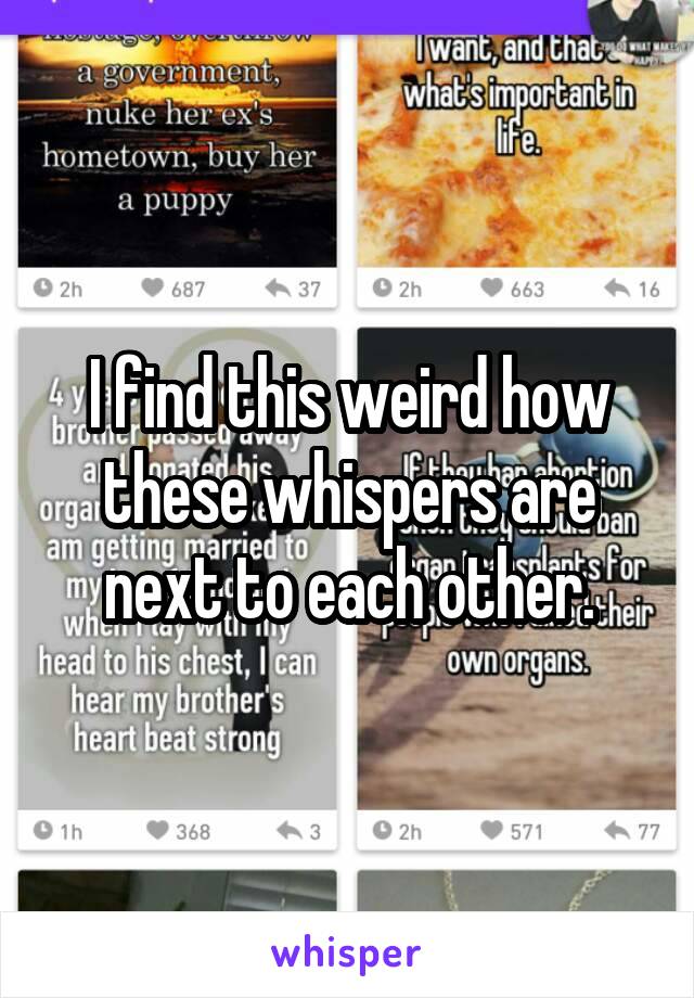 I find this weird how these whispers are next to each other.