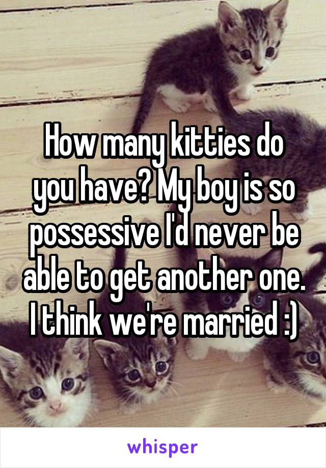 How many kitties do you have? My boy is so possessive I'd never be able to get another one. I think we're married :)