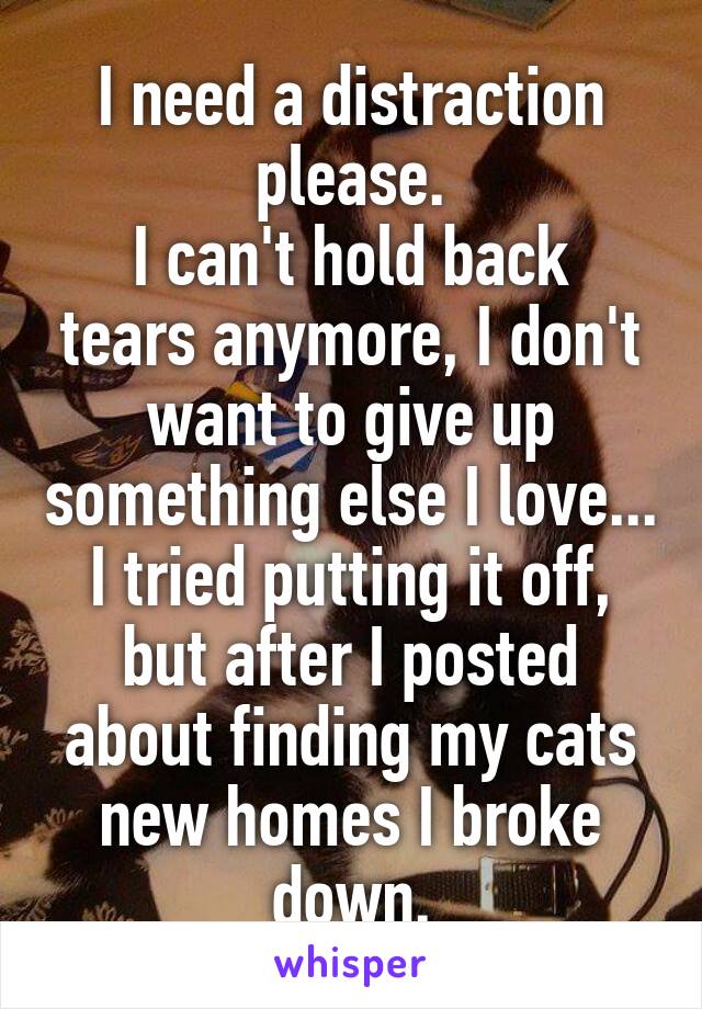 I need a distraction please.
I can't hold back tears anymore, I don't want to give up something else I love... I tried putting it off, but after I posted about finding my cats new homes I broke down.
