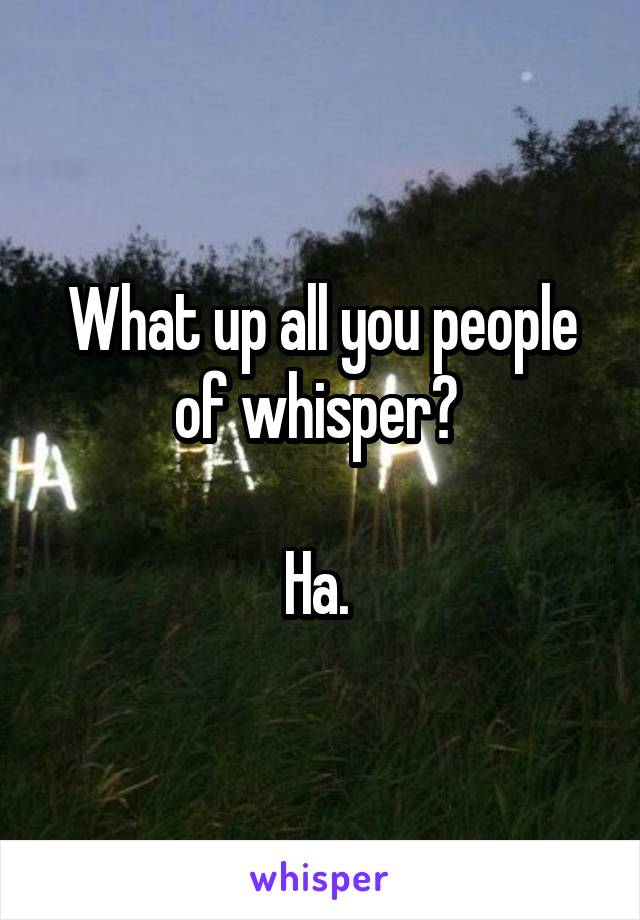 What up all you people of whisper? 

Ha. 