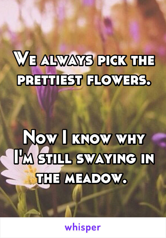 We always pick the prettiest flowers.


Now I know why I'm still swaying in the meadow. 