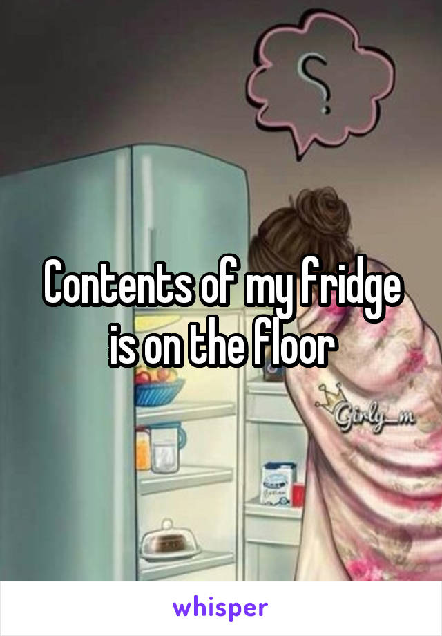 Contents of my fridge is on the floor