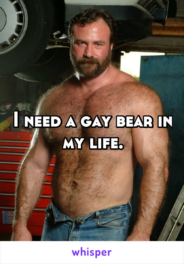 I need a gay bear in my life.