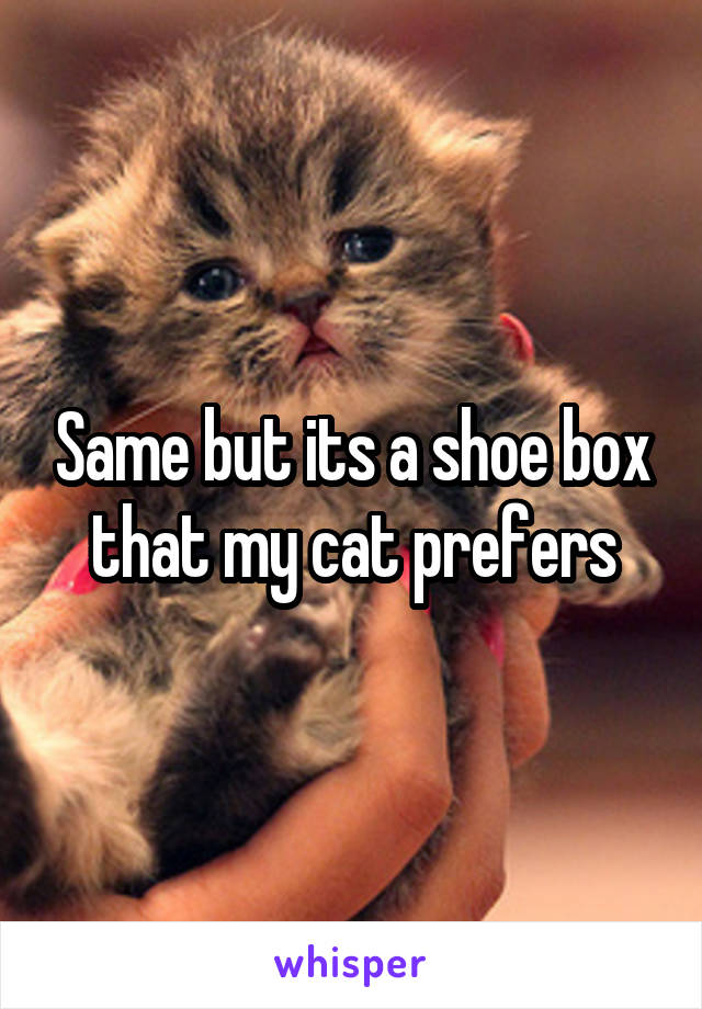 Same but its a shoe box that my cat prefers