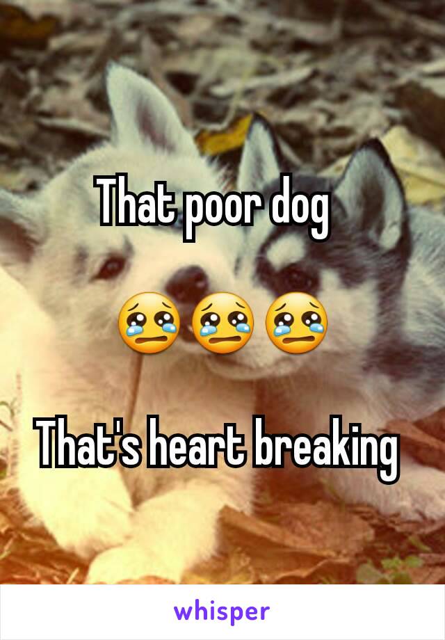 That poor dog  

😢😢😢

That's heart breaking 