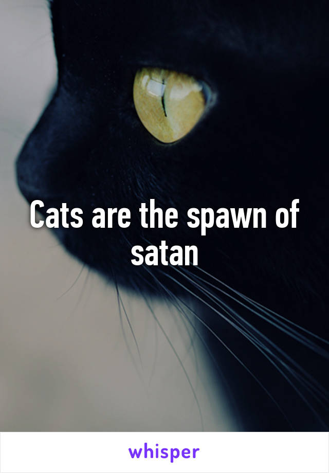 Cats are the spawn of satan