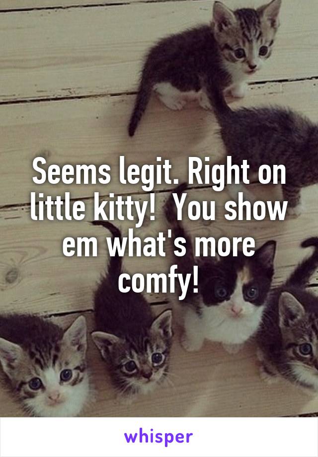 Seems legit. Right on little kitty!  You show em what's more comfy!