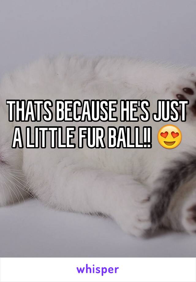 THATS BECAUSE HE'S JUST A LITTLE FUR BALL!! 😍