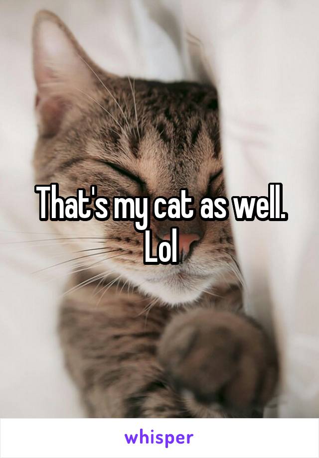 That's my cat as well. Lol