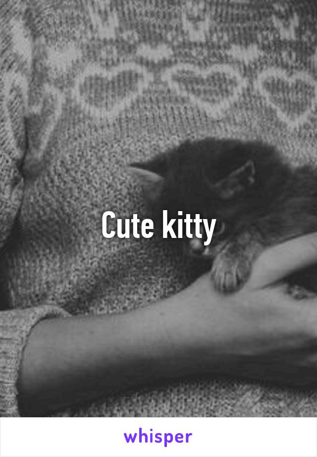 Cute kitty