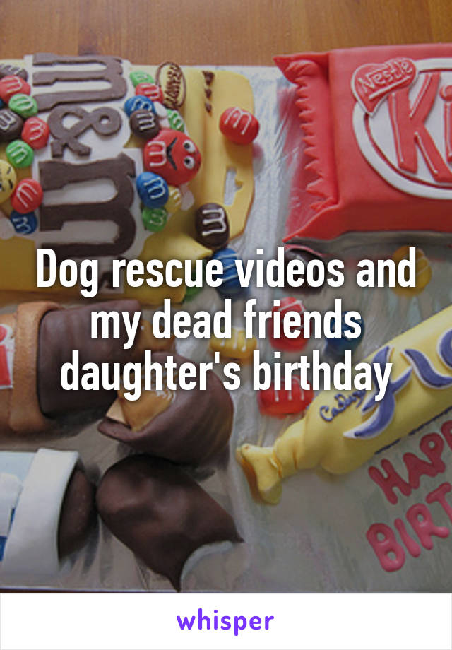 Dog rescue videos and my dead friends daughter's birthday