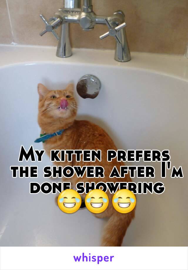 My kitten prefers the shower after I'm done showering 😂😂😂