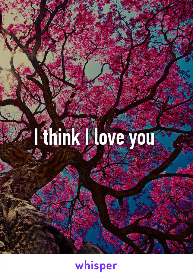 I think I love you 
