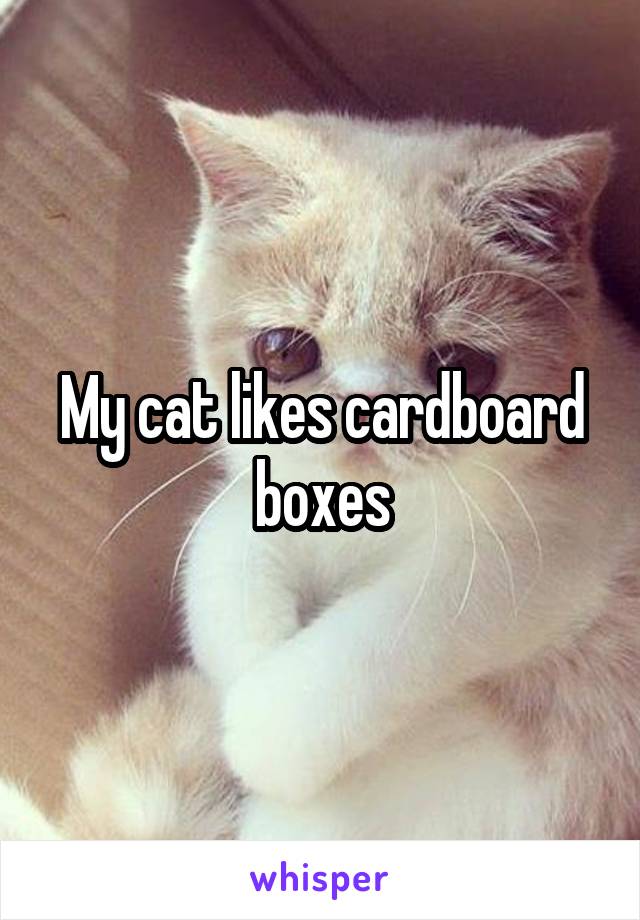 My cat likes cardboard boxes