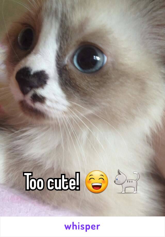 Too cute! 😁 🐈