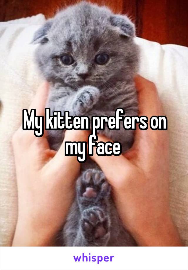 My kitten prefers on my face 