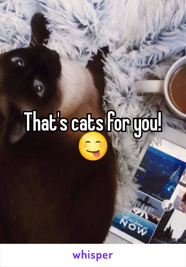 That's cats for you! 😋