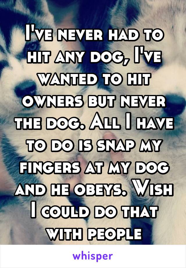 I've never had to hit any dog, I've wanted to hit owners but never the dog. All I have to do is snap my fingers at my dog and he obeys. Wish I could do that with people