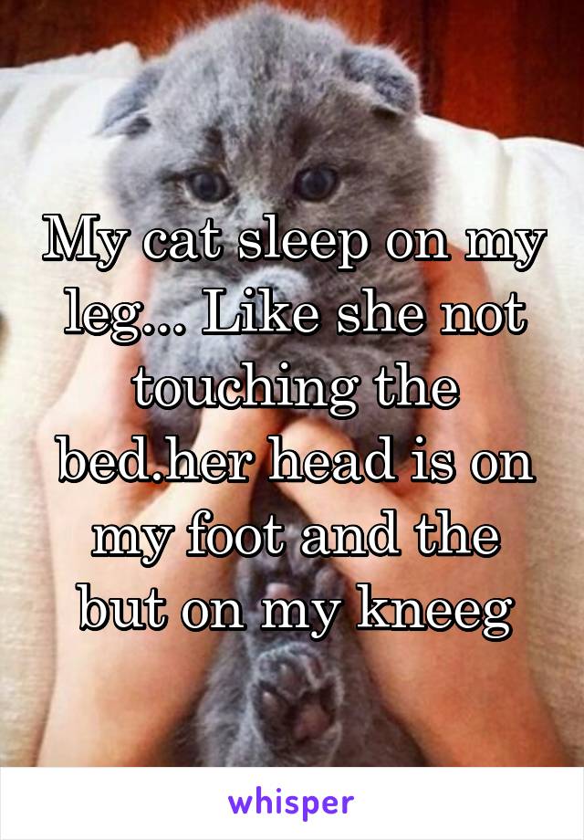 My cat sleep on my leg... Like she not touching the bed.her head is on my foot and the but on my kneeg