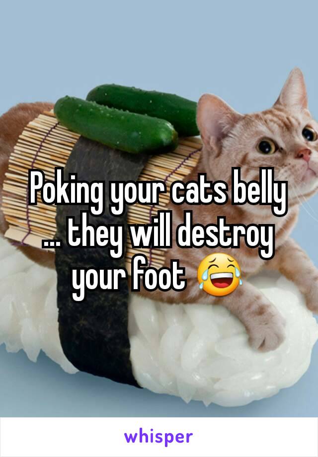 Poking your cats belly ... they will destroy your foot 😂