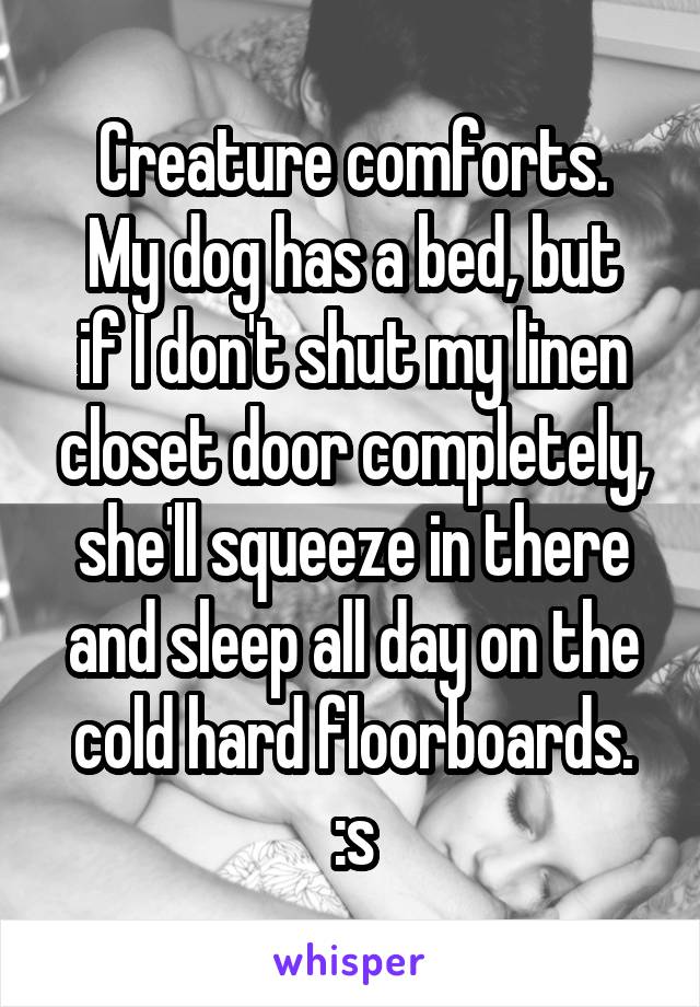 Creature comforts.
My dog has a bed, but if I don't shut my linen closet door completely, she'll squeeze in there and sleep all day on the cold hard floorboards. :s