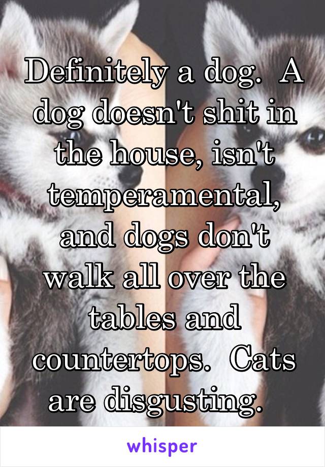 Definitely a dog.  A dog doesn't shit in the house, isn't temperamental, and dogs don't walk all over the tables and countertops.  Cats are disgusting.  