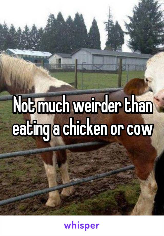 Not much weirder than eating a chicken or cow
