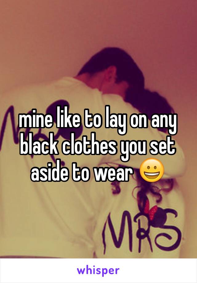 mine like to lay on any black clothes you set aside to wear 😀