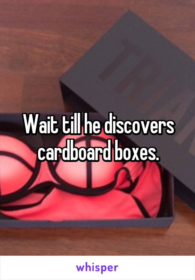 Wait till he discovers cardboard boxes.