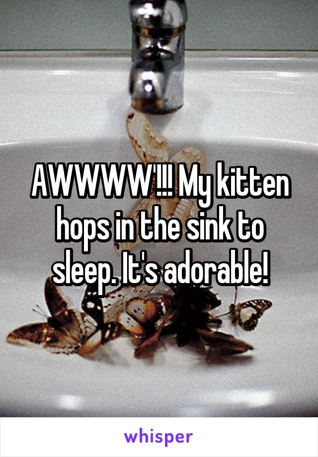 AWWWW'!!! My kitten hops in the sink to sleep. It's adorable!