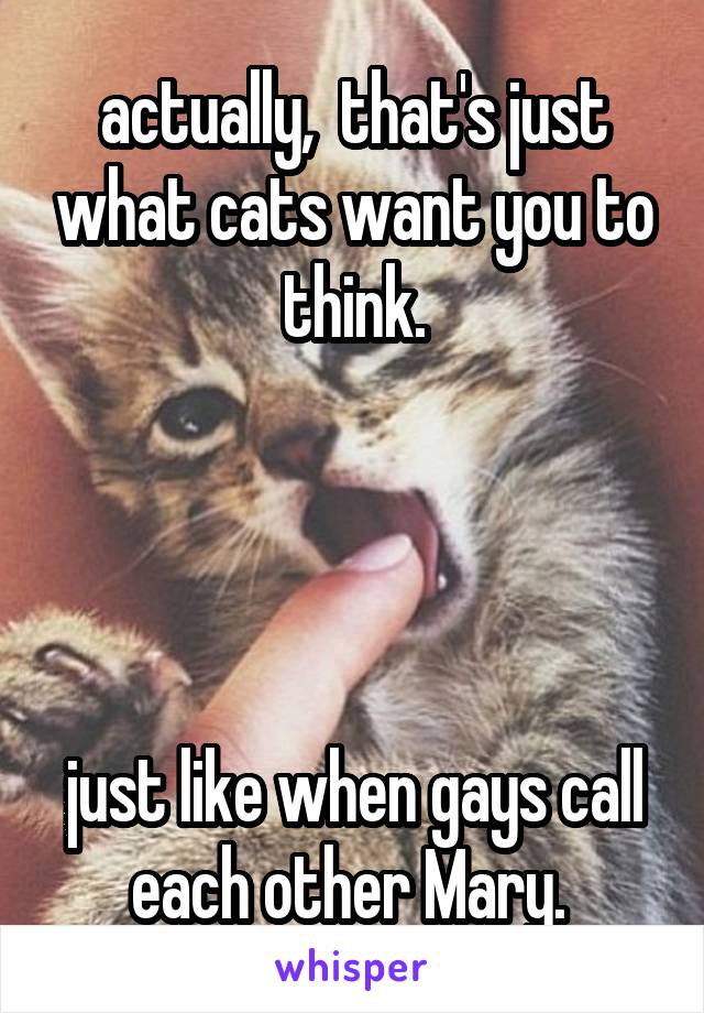 actually,  that's just what cats want you to think.




just like when gays call each other Mary. 