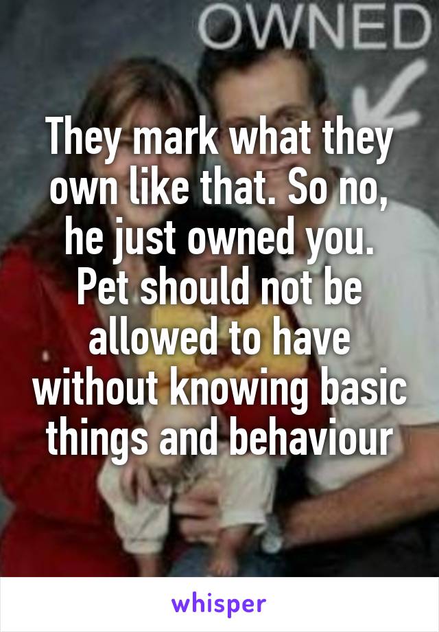 They mark what they own like that. So no, he just owned you.
Pet should not be allowed to have without knowing basic things and behaviour
