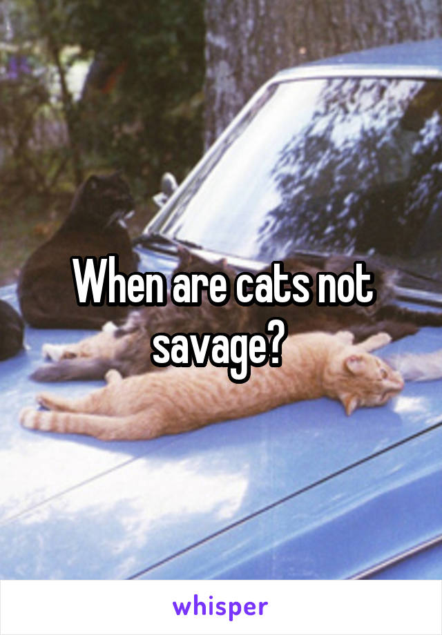 When are cats not savage? 