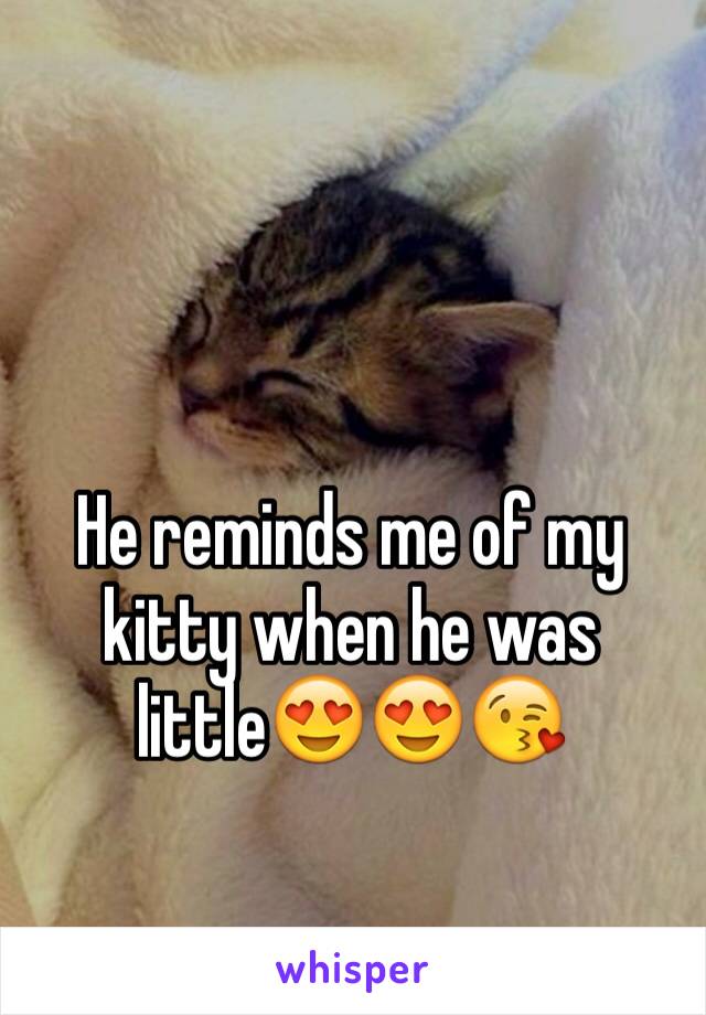 He reminds me of my kitty when he was little😍😍😘